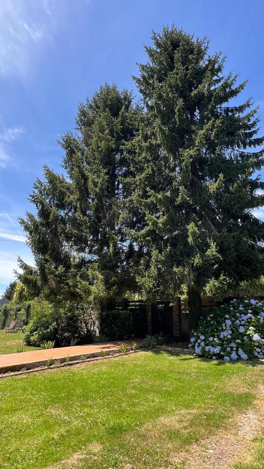 Twin Pines Camino Norte Arzua Exterior photo